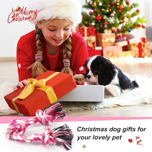Durable Cotton Dog Rope Toy for Small/Medium Dogs - Teeth Cleaning Chew Tug Toy - Image 6