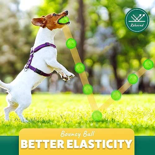 Interactive Dog Chew Balls: Squeaky Teething Toys for Small Breeds - Dental Care Set - Image 7