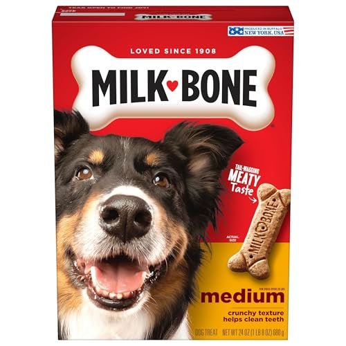 Milk-Bone Original Dog Treats Biscuits for Medium Dogs, 24 Ounces (Packaging May Vary)