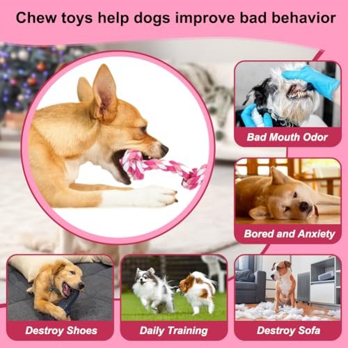 Durable Cotton Dog Rope Toy for Small/Medium Dogs - Teeth Cleaning Chew Tug Toy - Image 4