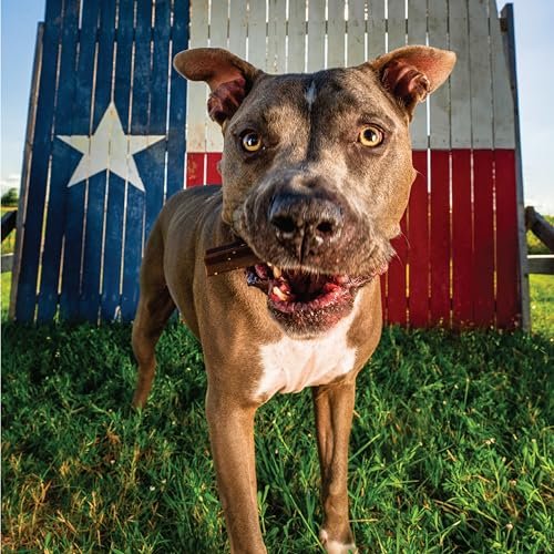 Get Naked Large Dog Dental Chews for Weight Management, Grain-Free Treats - Image 5