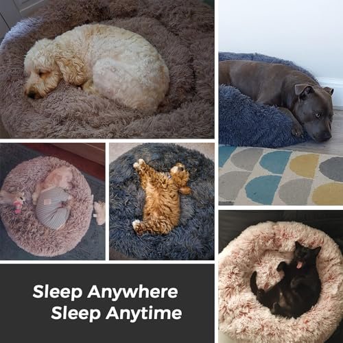 Orthopedic Calming Pet Bed: Fluffy Donut Cushion for Small Dogs & Cats - Image 6