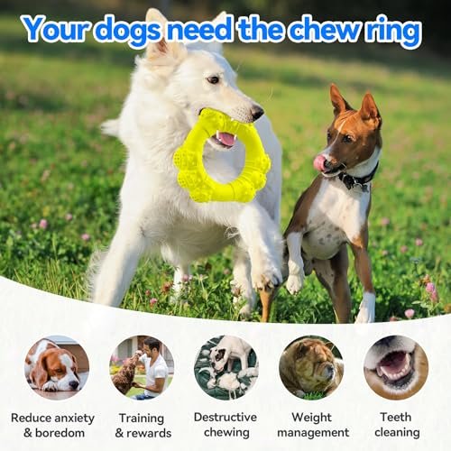 Durable Dog Chew Ring Toy: Tough Teething Relief for Medium to Large Dogs - Image 5