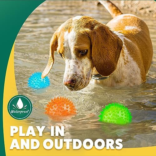 Interactive Dog Chew Balls: Squeaky Teething Toys for Small Breeds - Dental Care Set - Image 6